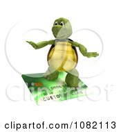 Poster, Art Print Of 3d Tortoise Surfing On A Credit Card