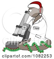 Poster, Art Print Of Brown Christmas C Elegans Roundworm With A Santa Hat And Holly Wreath And Microscope