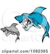 Clipart Gray And Blue Sharks Attacking Royalty Free Vector Illustration