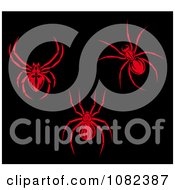 Poster, Art Print Of Red Ticks Or Spiders On Black