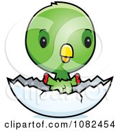 Clipart Cute Baby Parrot In An Egg Shell Royalty Free Vector Illustration