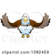 Poster, Art Print Of Buff Bald Eagle Flying