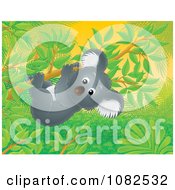 Clipart Cute Koala Climbing A Tree Branch Royalty Free Illustration by Alex Bannykh
