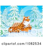 Poster, Art Print Of Tiger Resting In A Winter Forest