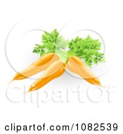 Clipart 3d Fresh Orange Carrots Royalty Free Vector Illustration