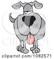 Clipart Gray Dog Facing Forward With His Tongue Hanging Out Royalty Free Vector Illustration