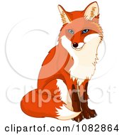 Poster, Art Print Of Sitting Handsome Fox