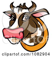 Poster, Art Print Of Curious Brown Dairy Cow