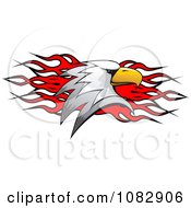 Poster, Art Print Of Bald Eagle Head Over Red Flames