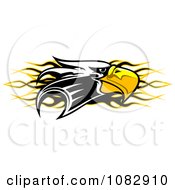 Poster, Art Print Of Bald Eagle Head Over Black And Yellow Flames