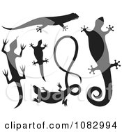 Poster, Art Print Of Black Lizard Silhouettes