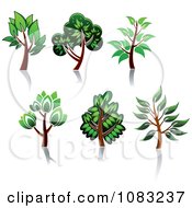 Clipart Green Trees And Reflections Royalty Free Vector Illustration