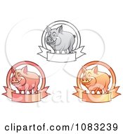Poster, Art Print Of Grayscale Pink And Orange Pigs With Banners