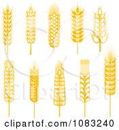 Poster, Art Print Of Golden Grains