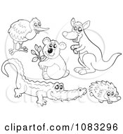 Poster, Art Print Of Outlined Kiwi Bird Koala Kangaroo Crocodile And Hedgehog