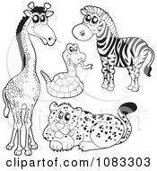 Poster, Art Print Of Outlined Giraffe Rattlesnake Zebra And Leopard
