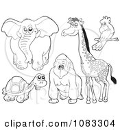 Poster, Art Print Of Outlined Elephant Tortoise Gorilla Giraffe And Parrot