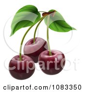 Poster, Art Print Of 3d Dark Red Cherries With Stems