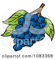 Poster, Art Print Of Bunch Of Blueberries And Leaves
