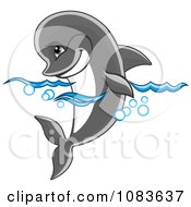 Poster, Art Print Of Gray Dolphin Floating In The Surf