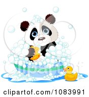 Cute Panda Bathing In A Tub