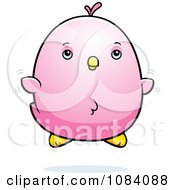 Chubby Pink Parakeet Chick Flying