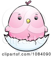 Clipart Chubby Pink Parakeet Chick On A Shell Royalty Free Vector Illustration