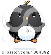 Poster, Art Print Of Chubby Penguin Chick Flying