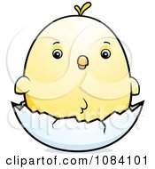 Poster, Art Print Of Chubby Chicken Chick On A Shell