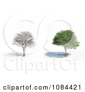 Clipart 3d Bare And Full Trees Royalty Free CGI Illustration