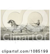 Poster, Art Print Of Harness Racer Driving A Trotting Horse