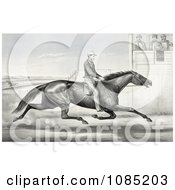 Man Riding A Horse Billy Boyce Racing Past Judges In Buffalo New York August 1st 1868 Royalty Free Stock Illustration