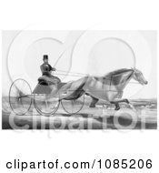Poster, Art Print Of Man Robert Bonner In A Cart Being Pulled By A Running Horse