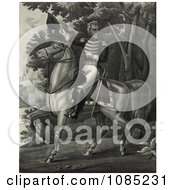 Andrew Jackson With The Tennessee Forces On The Hickory Grounds Royalty Free Stock Illustration by JVPD