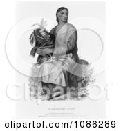 Chippeway Widow Free Historical Stock Illustration by JVPD