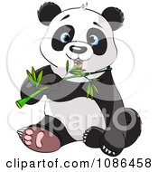 Poster, Art Print Of Cute Panda Sitting And Chewing On Bamboo