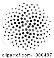 Black Spiral Fibonacci Golden Ratio Mathematics Dot Pattern