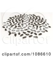 Poster, Art Print Of 3d Scattered Sunflower Seeds