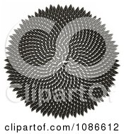 Poster, Art Print Of 3d Fibonacci Golden Ratio Circle Of Sunflower Seeds