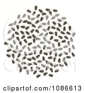 Clipart 3d Sunflower Seeds Royalty Free CGI Illustration by Leo Blanchette