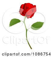 Poster, Art Print Of 3d Red Long Stemmed Rose
