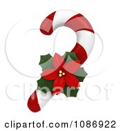 3d Poinsettia And Peppermint Candy Cane