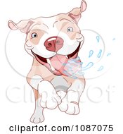 Clipart Excited Pit Bull Dog Running And Drooling Royalty Free Vector Illustration by Pushkin #COLLC1087075-0093