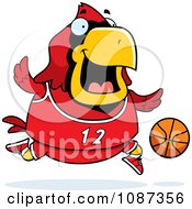Chubby Cardinal Playing Basketball