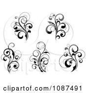 Clipart Black And White Flourish Motif Design Elements 2 Royalty Free Vector Illustration