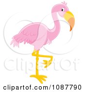 Pink Flamingo Balanced On One Leg
