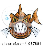 Orange Piranha Fish With Sharp Teeth