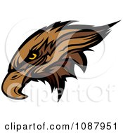Mascot Brown Hawk Falcon Head
