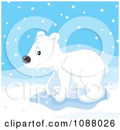 Poster, Art Print Of Polar Bear Cub Walking In Snow