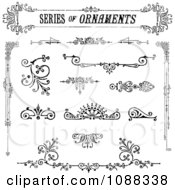 Ornate Black And White Design Element Ornaments